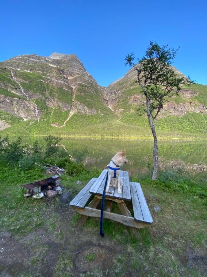House On The Lake Bogen Bagian luar foto